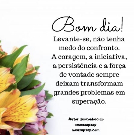 Meu ZapZap - Imagens Bom dia - Saudações para Whatsapp e Facebook Meu ZapZap - Imagens Bom dia - Saudações para Whatsapp e Facebook