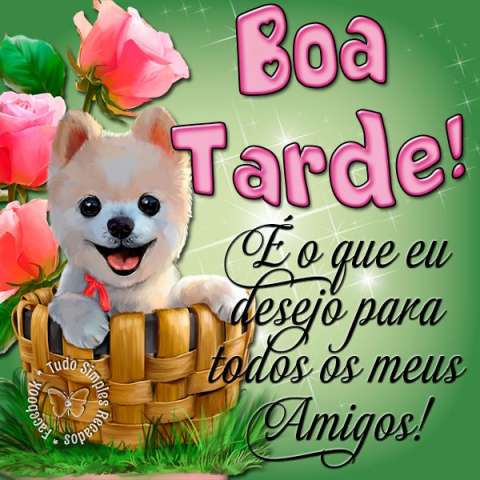 Resultado de imagem para boa tarde amigos