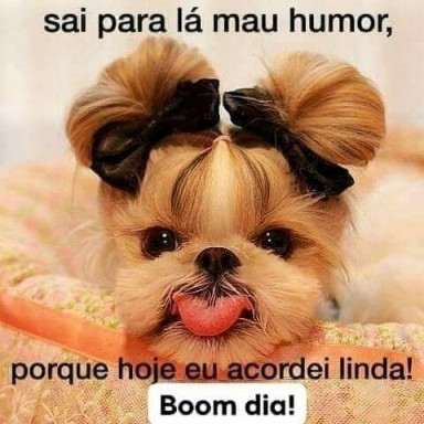 Meu ZapZap - Imagens Bom dia - Saudações para Whatsapp e Facebook Meu ZapZap - Imagens Bom dia - Saudações para Whatsapp e Facebook