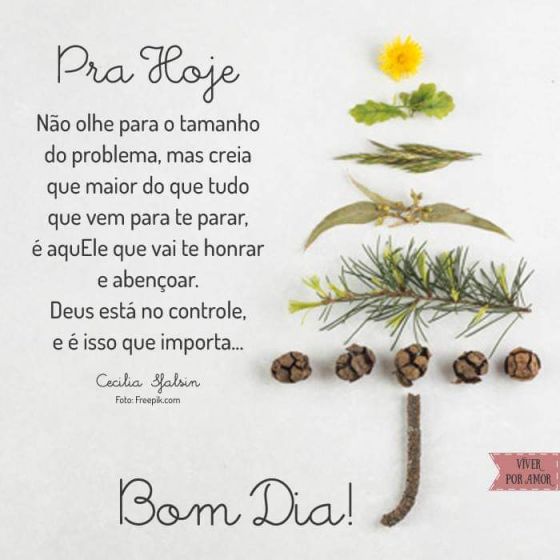 Meu ZapZap - Imagens Bom dia - Saudações para Whatsapp e Facebook Meu ZapZap - Imagens Bom dia - Saudações para Whatsapp e Facebook