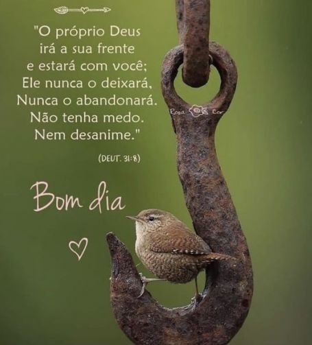 Meu ZapZap - Imagens Bom dia - Saudações para Whatsapp e Facebook Meu ZapZap - Imagens Bom dia - Saudações para Whatsapp e Facebook
