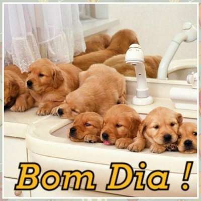 Meu ZapZap - Imagens Bom dia - Saudações para Whatsapp e Facebook Meu ZapZap - Imagens Bom dia - Saudações para Whatsapp e Facebook