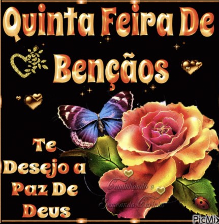 Meu ZapZap - Imagens Boa noite - Saudações para Whatsapp e Facebook Meu ZapZap - Imagens Boa noite - Saudações para Whatsapp e Facebook