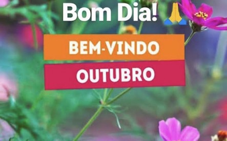 Meu ZapZap - Imagens Bom dia outubro - Saudações para Whatsapp e Facebook Meu ZapZap - Imagens Bom dia outubro - Saudações para Whatsapp e Facebook