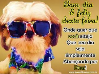 Meu ZapZap - Imagens Bom dia... sextou - Saudações para Whatsapp e Facebook Meu ZapZap - Imagens Bom dia... sextou - Saudações para Whatsapp e Facebook