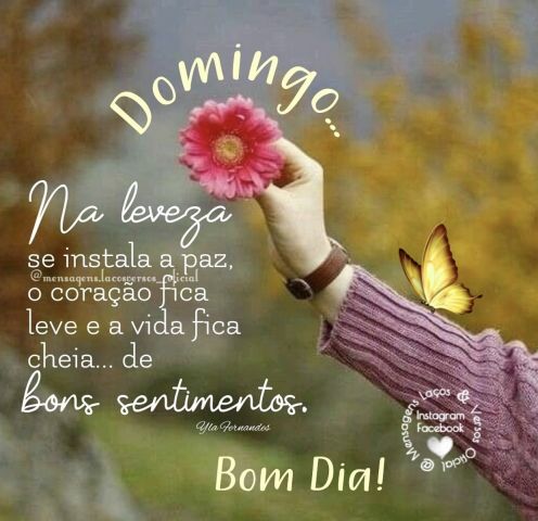 Meu ZapZap - Imagens Bom dia Domingo - Saudações para Whatsapp e Facebook Meu ZapZap - Imagens Bom dia Domingo - Saudações para Whatsapp e Facebook