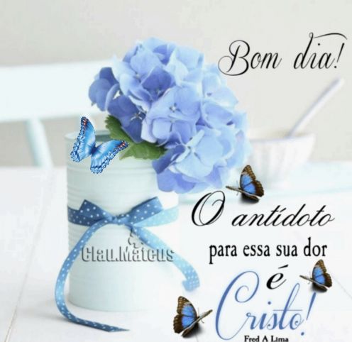 Meu ZapZap - Imagens Bom dia - Saudações para Whatsapp e Facebook Meu ZapZap - Imagens Bom dia - Saudações para Whatsapp e Facebook