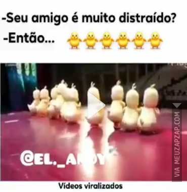 Seu amigo é distraído? - Vídeo  Engraçados para Redes Sociais