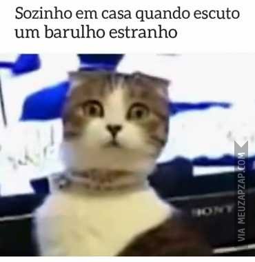 Quando escuto barulho e estou só  - Vídeo  Engraçados para Redes Sociais