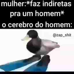 Como o cérebro do homem funciona - Vídeo  Engraçados para Redes Sociais