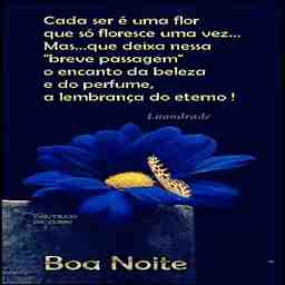 Boa noite  - Vídeo  Saudações para Redes Sociais