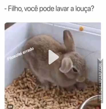 Filho lava a louça? - Vídeo  Engraçados para Redes Sociais