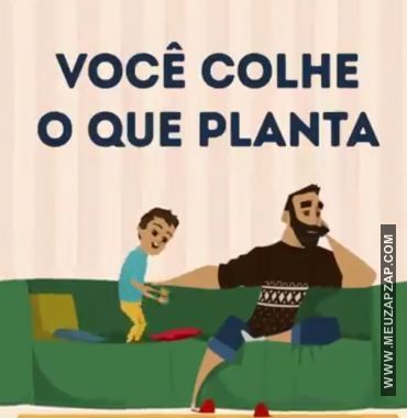 Você colhe o que planta - Vídeo  Engraçados para Redes Sociais