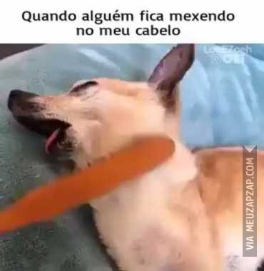 Quando mexem no meu cabelo - Vídeo  Engraçados para Redes Sociais