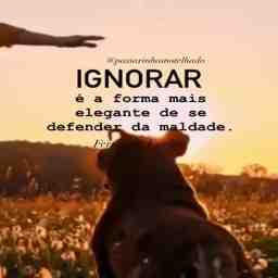 Ignore  - Vídeo  Outros para Redes Sociais