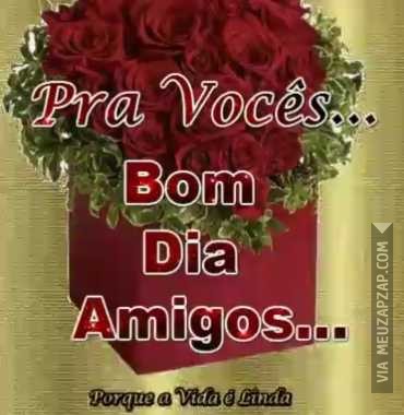 Bom dia - Vídeo  Saudações para Redes Sociais