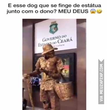 O dog que vira estátua  - Vídeo Caiu na net para Redes Sociais