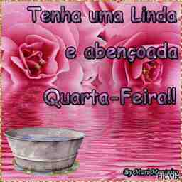 Bom dia quarta-feira  - Vídeo  Saudações para Redes Sociais