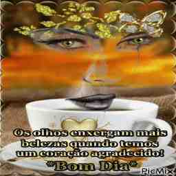 Bom dia quinta-feira  - Vídeo  Saudações para Redes Sociais