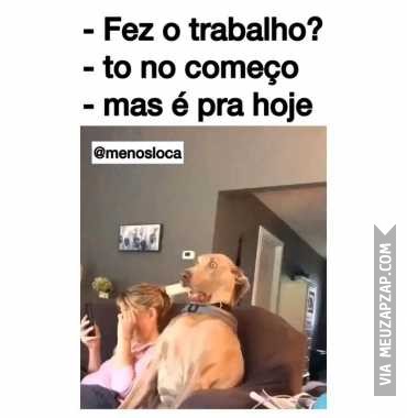 Fez o trabalho? - Vídeo  Engraçados para Redes Sociais