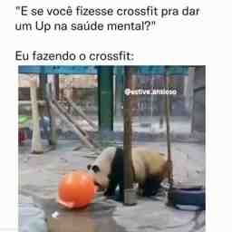 Eu no crossfit - Vídeo  Engraçados para Redes Sociais