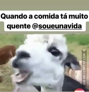 Comida quente  - Vídeo  Engraçados para Redes Sociais