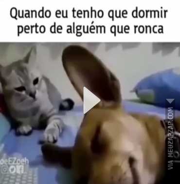 Quando a pessoa ronca muito  - Vídeo  Engraçados para Redes Sociais