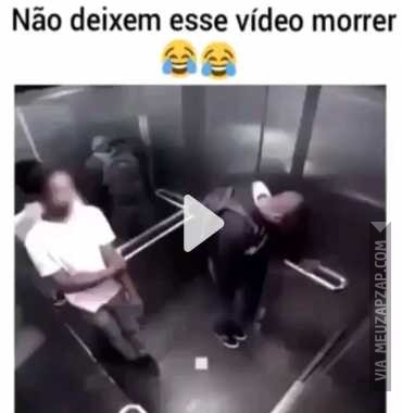 Não deixem esse vídeo morrer  - Vídeo  Engraçados para Redes Sociais