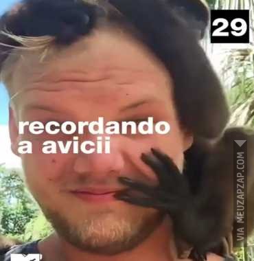 RipAvicii - Vídeo  Outros para Redes Sociais