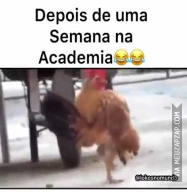 Eu com uma semana na academia - Vídeo  Engraçados para Redes Sociais