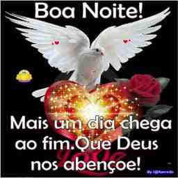 Boa noite   - Vídeo  Saudações para Redes Sociais