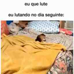 Eu que lute - Vídeo  Engraçados para Redes Sociais