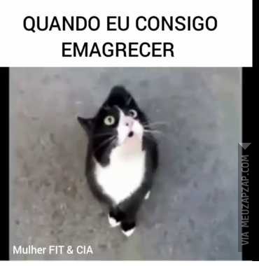 Quando eu emagreço  - Vídeo  Engraçados para Redes Sociais