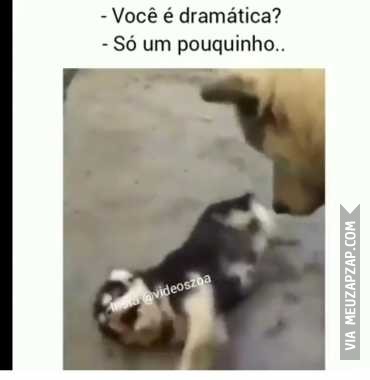 Você é dramático?  - Vídeo  Engraçados para Redes Sociais