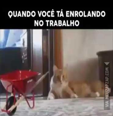  Quando você tá enrolando e o chefe chega  - Vídeo  Engraçados para Redes Sociais