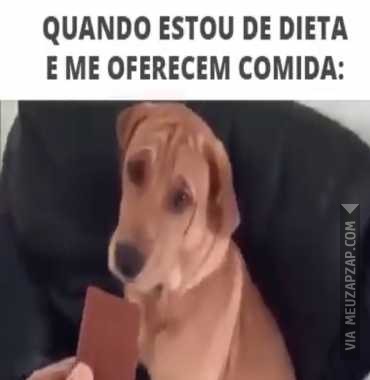 Eu de dieta - Vídeo Animais para Redes Sociais