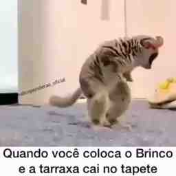 Quando eu perco o brinco - Vídeo  Engraçados para Redes Sociais