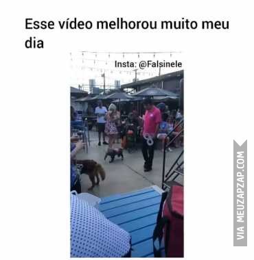 Pra salvar seu dia - Vídeo Caiu na net para Redes Sociais