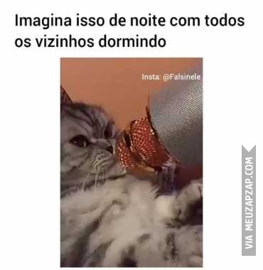 Imagina só  - Vídeo  Engraçados para Redes Sociais