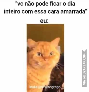 Vai ficar de cara amarrada o dia todo? - Vídeo Animais para Redes Sociais