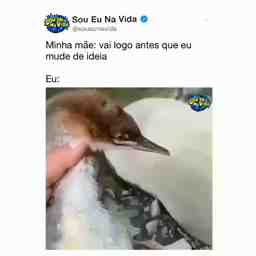 Quando minha mãe deixa eu sair - Vídeo  Engraçados para Redes Sociais