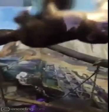 Macaco abusado - Vídeo Animais para Redes Sociais