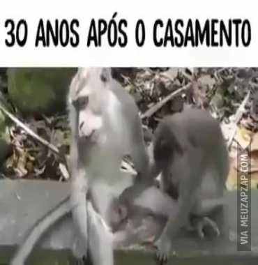 Depois de anos de casamento  - Vídeo  Engraçados para Redes Sociais