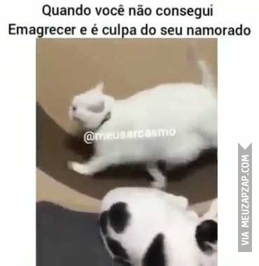 Desse jeito   - Vídeo Animais para Redes Sociais