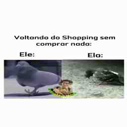 Quando eu vou ao shopping - Vídeo  Engraçados para Redes Sociais