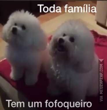 Fofoqueiro  - Vídeo  Engraçados para Redes Sociais