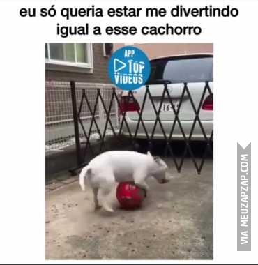 Só queria me divertir assim - Vídeo  Engraçados para Redes Sociais