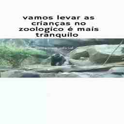 Levando as crianças no zoológico - Vídeo  Engraçados para Redes Sociais