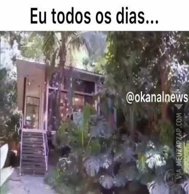 Eu todos os dias  - Vídeo  Engraçados para Redes Sociais