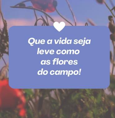 Bom dia - Vídeo  Saudações para Redes Sociais